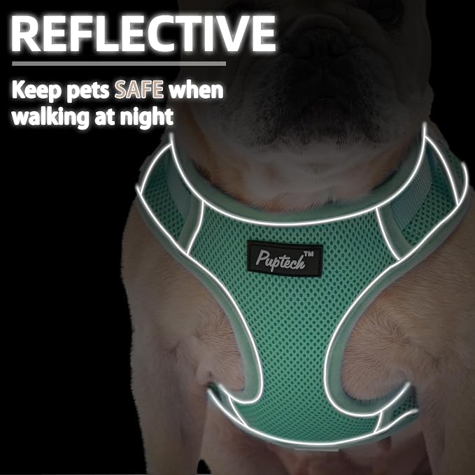 PUPTECK Dog Harness and Leash Set, No Pull Adjustable Pet Small Dog Harness, Reflective Soft Mesh Pet Vest, for Small Medium Dogs Walking, Green, M