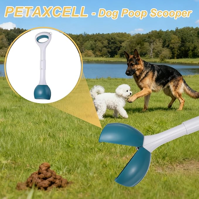 Poop Scooper, 27.6" Long Handle No Touch Dog Poop Scooper Grabber Foldable Spring Pick Up Tool Shovel, (Purple), Intended for Dogs Waste in Lawns/Grass/Dirt/Gravel