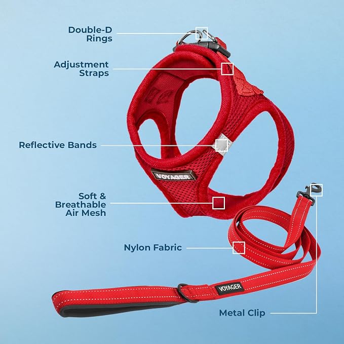 Best Pet Supplies Voyager Step-in Air All Weather Mesh Harness and Reflective Dog 5ft Leash Combo with Neoprene Handle, for Small, Medium and Large Breed Puppies - Red, XX-Small