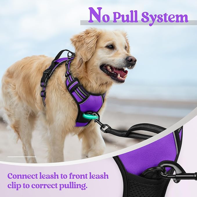 rabbitgoo Dog Harness, No Pull for Small Dogs with 2 Leash Clips, Pet Vest | No Choke with Handle, Adjustable Soft Padded, Reflective, Easy Control for Walking, Purple, Small
