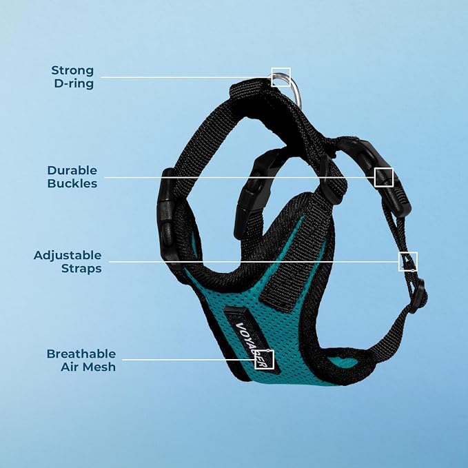 Voyager Step-in Lock Dog Harness - Turquoise/Black Trim, Large | 20 - 25" in Chest, Adjustable, Breathable Air Mesh, Lightweight for Daily Walks, Strong Clips, Heavy Duty D-Ring