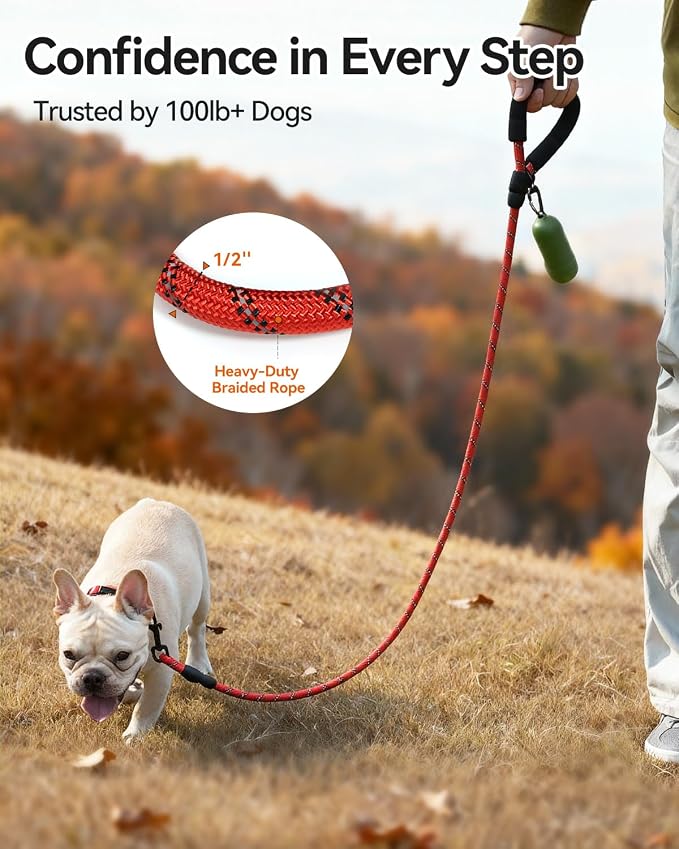 Joytale Rope Dog Leash for Small Dogs, Padded Handle, 5FT, Red | Reinforced Nylon Webbing, Comfort Grip Eases Hand Strain, Swivel Clip Prevents Tangles, Visible at Night, for Outdoor Walks