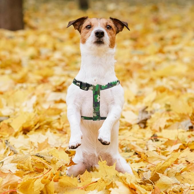 PUPTECK No Pull Dog Harness Small Sized Step-in Adjustable Puppy Vest | Soft Webbing Basic Halter with ID Tag for Outdoor Walking