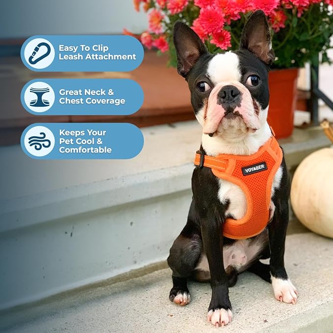 Voyager Step-in Flex Adjustable Dog Harness - Orange, Large | 20 - 25" in Chest, Fully Adjustable, Reflective Bands, All Weather Breathable Air Mesh, Lightweight, Fast Drying