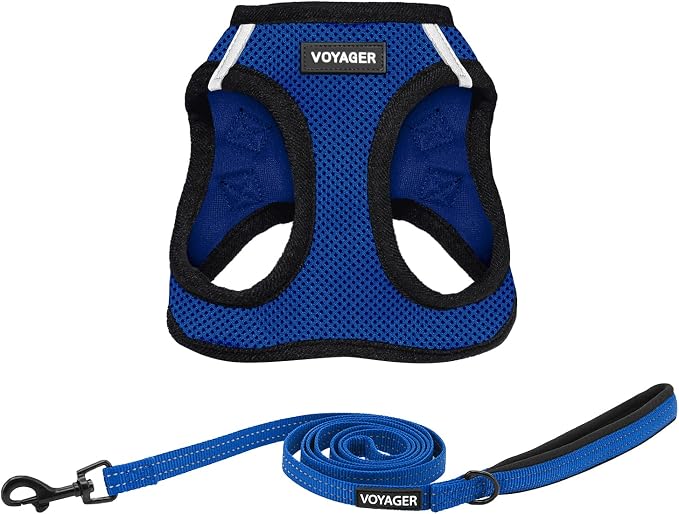 Best Pet Supplies Voyager Step-in Air All Weather Mesh Harness and Reflective Dog 5ft Leash Combo with Neoprene Handle, for Small, Medium and Large Breed Puppies - Royal Blue/Black Trim, Large