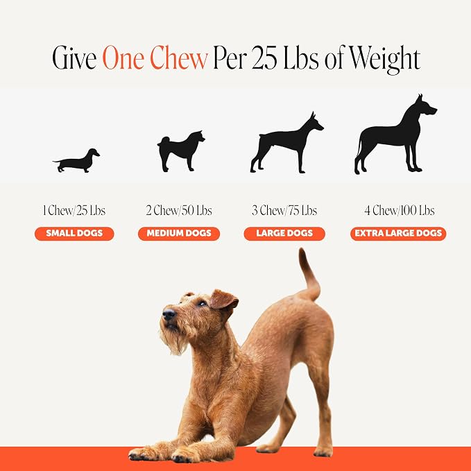Pet Honesty Vet Recommended Hip and Joint Supplement for Dogs, 90 Count | Advanced strength dog joint supplement with glucosamine chondroitin, chicken, supports mobility, eases stiffness
