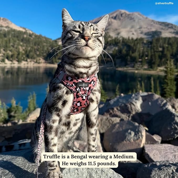 Lucy & Co. Wild Side Step-in Cat Harness & Leash Bundle – Reflective, Breathable & Adjustable Harness for Cats, Kittens & Small Dogs, Lightweight & Secure and Dual Leash Clips – X-Small