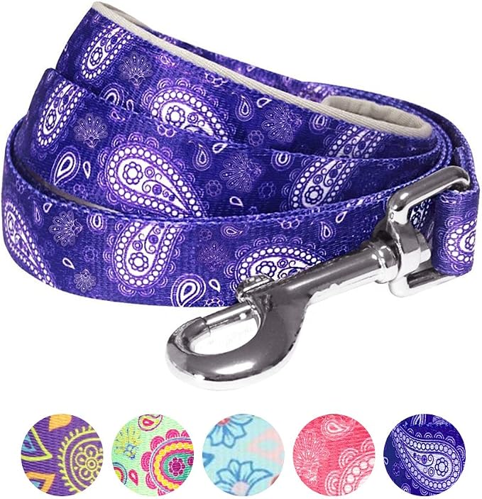 Blueberry Pet 5 Colors Paisley Flower Print Dog Leash with Soft & Comfortable Handle, 5 ft x 5/8", Violet, Small, Leashes for Dogs