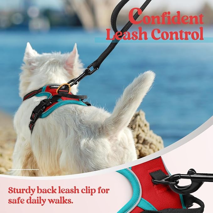 rabbitgoo Dog Harness, No Pull for Small Dogs with 2 Leash Clips, Pet Vest | No Choke with Handle, Adjustable Soft Padded, Reflective, Easy Control for Walking, Red & Teal, X-Small