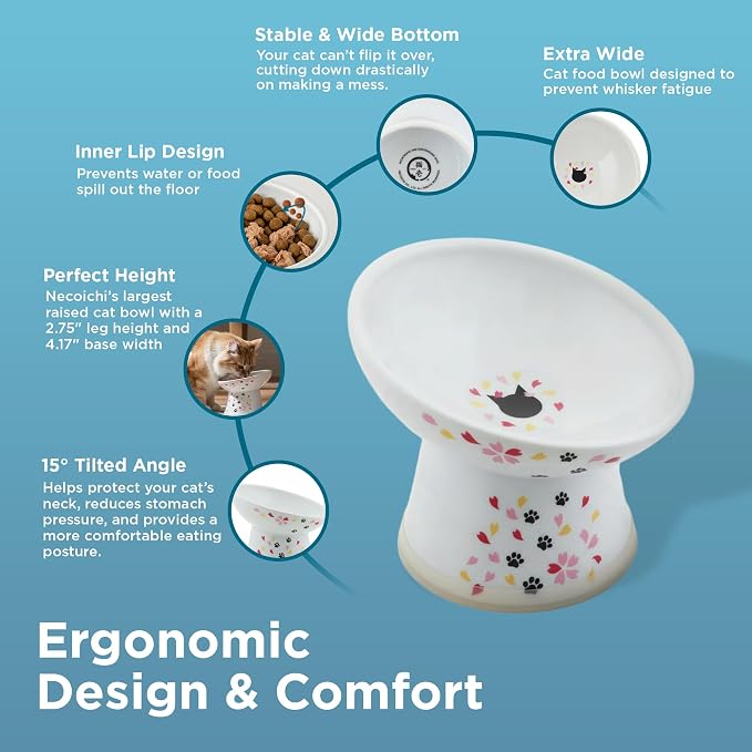 Necoichi Raised Cat Food Bowl – Ceramic Elevated 15° Tilted Cat Bowl for Whisker & Neck Fatigue, Dishwasher Microwave Safe – Non-Slip & Anti Vomiting Ergonomic Design (Sakura, Regular Tilted)