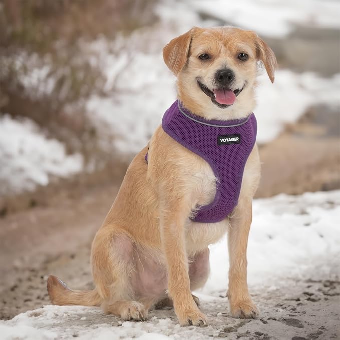 Best Pet Supplies Voyager Aerolite Over the Head Dog Harness, No Pull Breathable Air Mesh Vest, Quick Dry with Reflective Stitching, Adjustable Escape Resistant Harness - Purple, Small