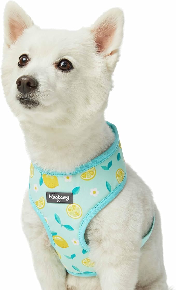 Blueberry Pet Zesty Fruit Dog Harness Vest, Adjustable Medium Size, Neck 18 3/4”, Chest 19 1/2”-26”, Refreshing Lemon Print, Summer Dog Harness