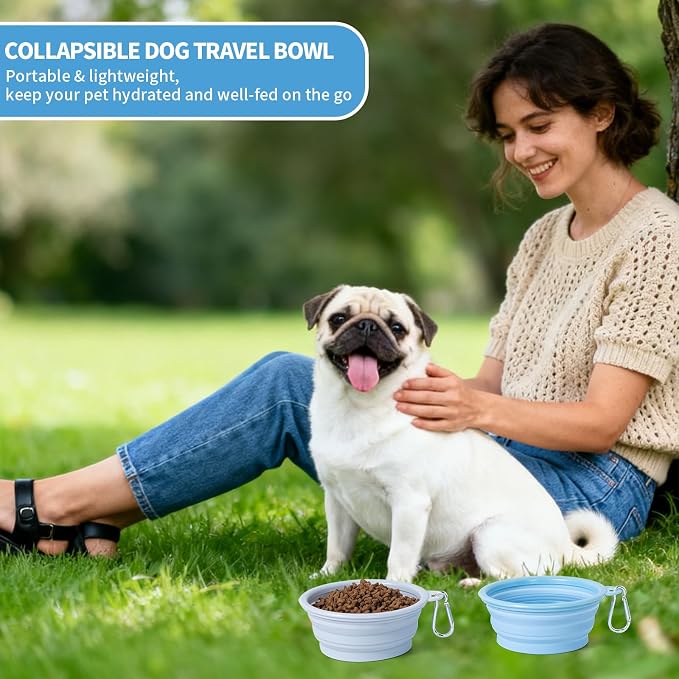 SLSON Macaron Collapsible Dog Bowl, 2 Pack, Small, Blue & Light Grey