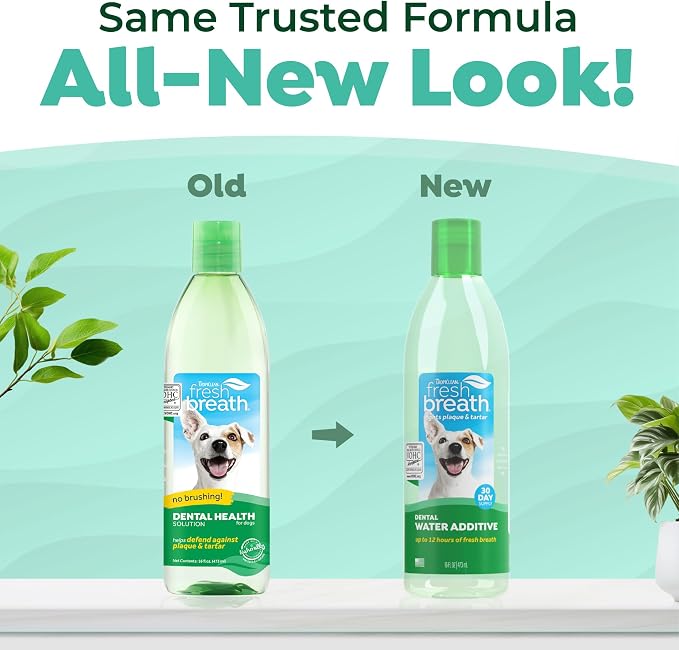 TropiClean Fresh Breath Water Additive for Dogs, Dog Breath Freshener, 16oz | Freshens Breath & Cleans Teeth | No Toothpaste or Toothbrush Required