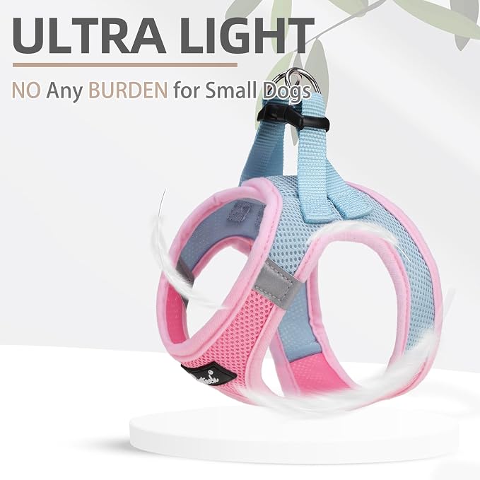 PUPTECK Dog Harness and Leash Set for Small Medium Dogs No Pull Step-in Soft Mesh Puppy Cat Vest Harnesses Reflective at Night, Pink & Blue, S