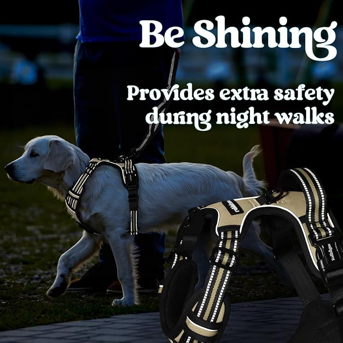 rabbitgoo Dog Harness Medium Sized, Updated Easy On & Off with 3 Buckles | No Pull No Choke, Walking with 2 Clips and Handle, Adjustable Soft Reflective, Beige, Medium