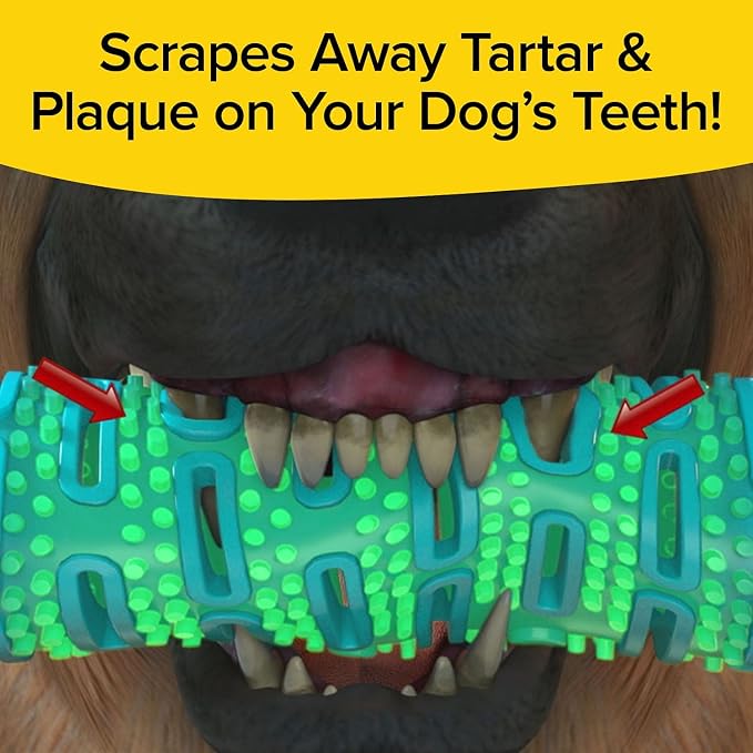BulbHead BrushBone As Seen On TV Doggy Toothbrush Chew Toy, Plaque & Tartar Remover, Works 3 Ways to Clean While They Play, Invented by a Dentist, Add Peanut Butter or Cheese, Brush Bone