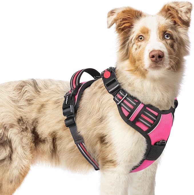 rabbitgoo Dog Harness Medium Sized, Updated Easy On & Off with 3 Buckles | No Pull No Choke, Walking with 2 Clips and Handle, Adjustable Soft Reflective, Rose Pink, Medium