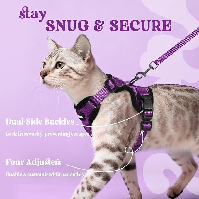 rabbitgoo Cat Harness and Leash Set, Escape Proof Vest, Purple | Soft Breathable Mesh, Easy Adjustable Fit, Snap Buckles, Sturdy Clip, Reflective Strips, for Medium to Large Cats Walks, M