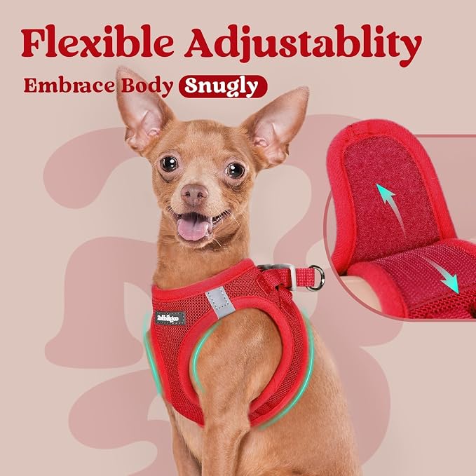 rabbitgoo Step-in Small Dog Harness, Puppy Vest for Medium Sized Pet | Easy Put on and off, Lightweight, Soft, Breathable Quick-Dry Air Mesh for Comfortable Secure Walking, Red XXL