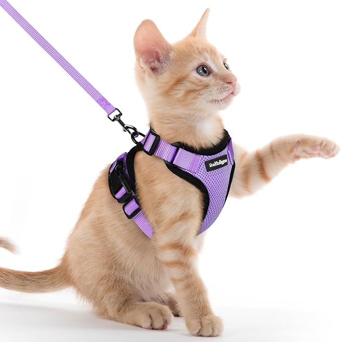 rabbitgoo Cat Harness and Leash Set, Escape Proof Vest, Light Purple | Soft Breathable Mesh, Easy Adjustable Fit, Snap Buckles, Sturdy Clip, Reflective Strips, for Kittens & Small Cats Walks, Xxs