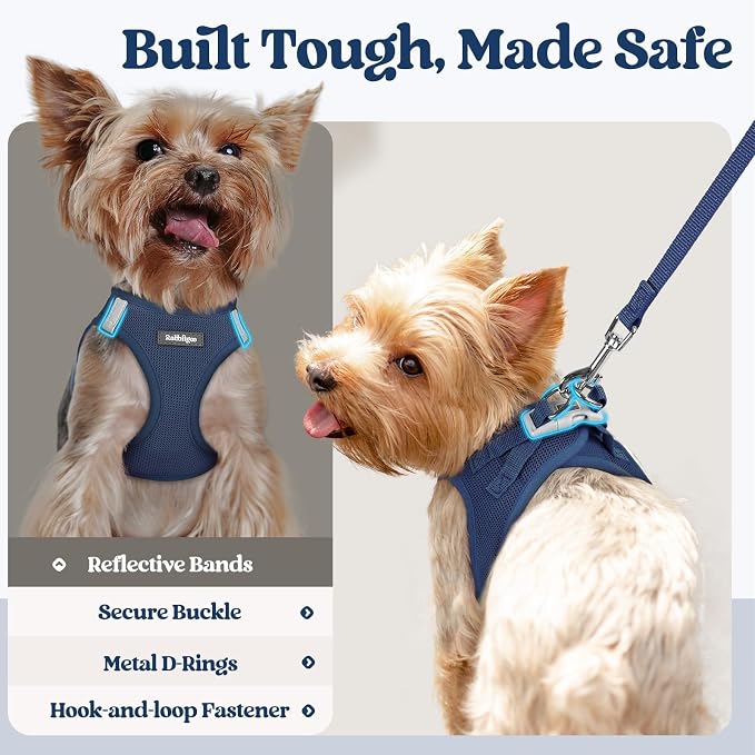 rabbitgoo Dog Harness Medium Sized and Leash Set, Step-in Puppy Pet Vest | Light, Soft, Breathable Air Mesh, Easy on and Remove with Hook & Loop, Secure Reflective for Walking, Navy Blue XL