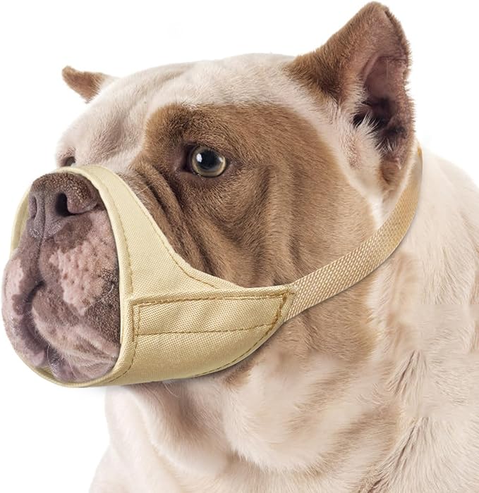 Fabric Dog Muzzle for Short Snout Small Dogs Chihuahuas Anti-Bite | Prevent Fierce Biting Chewing, Grooming Vet Visits Walking Nail Care Use, Allow Drinking Panting, Soft & Sturdy | Khaki, M
