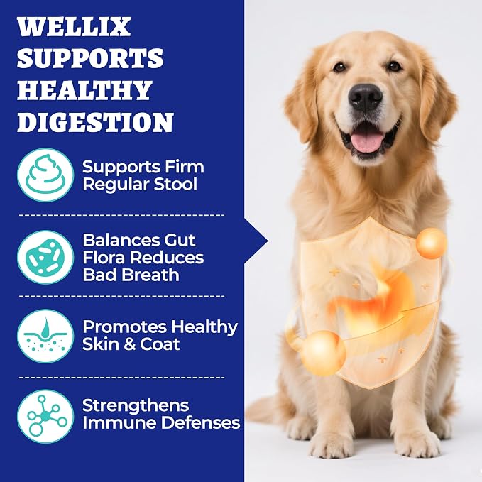 Wellix 19.04oz Probiotics for Dogs - Probiotics & Prebiotics with Pumpkin