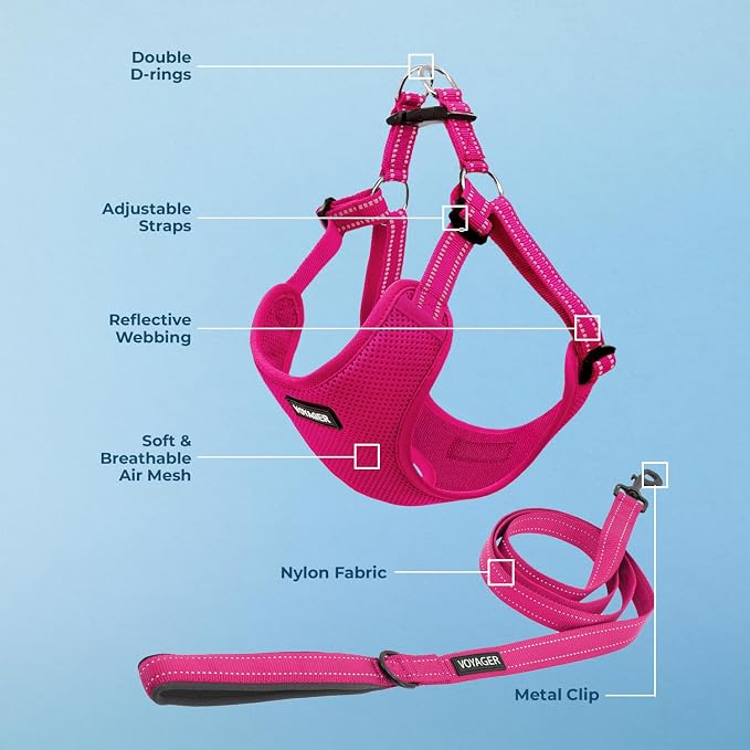 Best Pet Supplies Voyager Adjustable Step-in Flex Breathable Mesh Dog Harness for Small Medium Large Dogs Leash Set (Fuchsia), XS