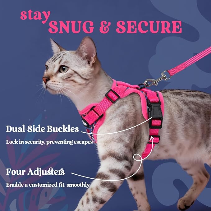 rabbitgoo Cat Harness and Leash Set, Escape Proof Vest, Coconut Fuchsia | Soft Breathable Mesh, Easy Adjustable Fit, Snap Buckles, Sturdy Clip, Reflective Strips, for Kittens & Small Cats Walks, Xxs