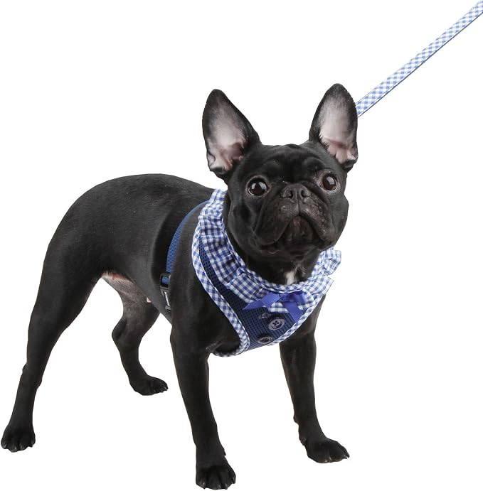Puppia Authentic Vivien Harness, Royal, Medium