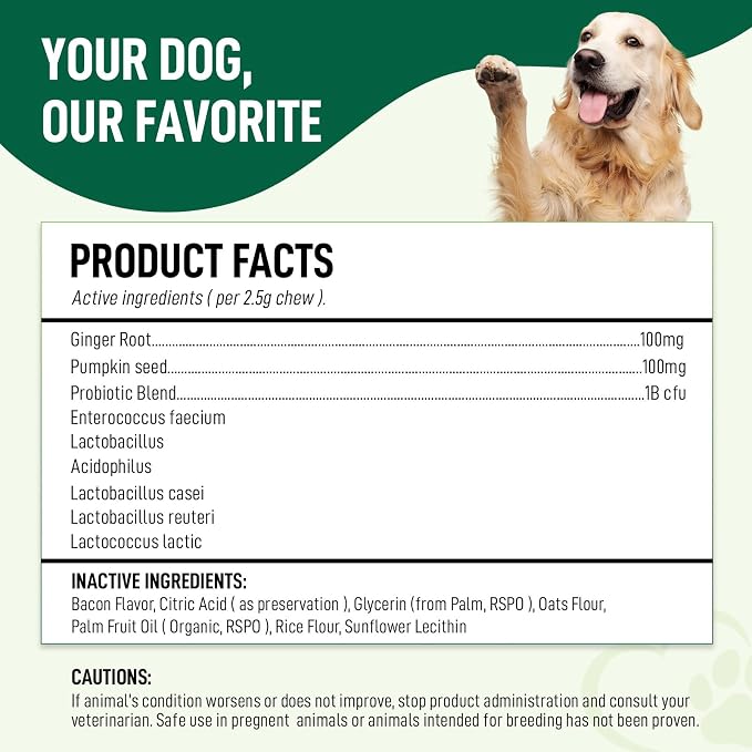 Probiotics for Dogs – 120 Soft Chews, Bacon Flavor | Digestive Enzymes, Gut Health & Immune Support with Pumpkin Seed & Ginger | for All Breeds
