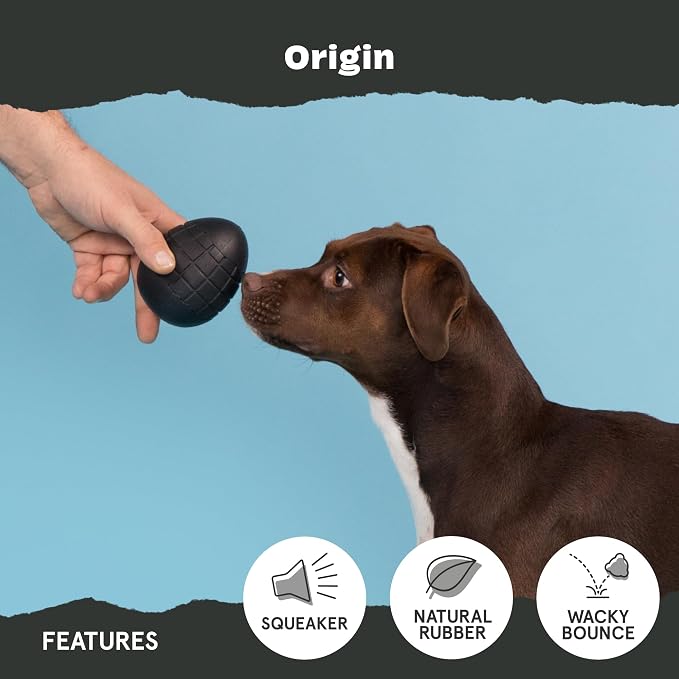 BarkBox Super Chewer Tough Dog Chew Toys - Large | for Aggressive Chewers, Treat Dispensing Origin
