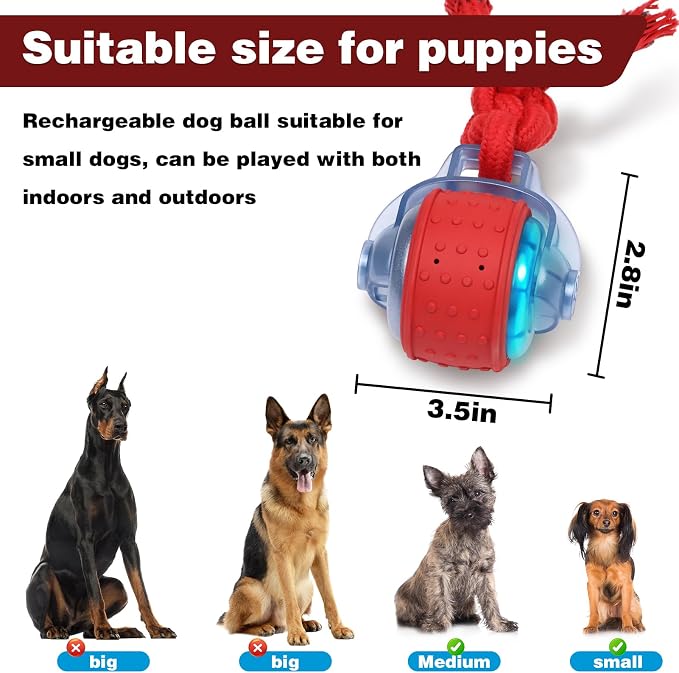 Muhhiba Interactive Dog Toys, Automatic Moving Dog Toy with Rope, Motion Activated, Rechargeable Dog Ball to Keep Them Busy