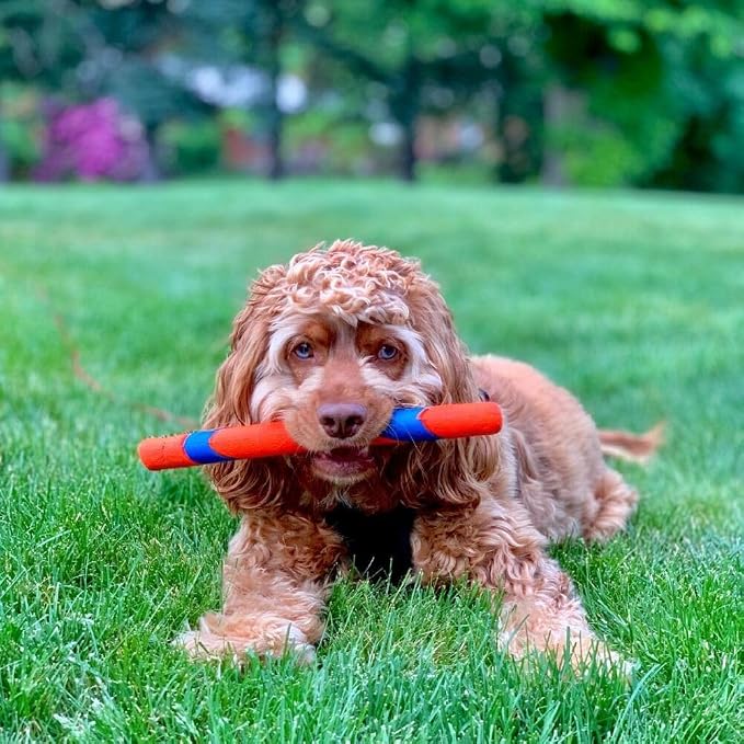Chuckit! Ultra Fetch Stick Interactive Dog Toy, 12in, All Breeds | Crafted from the Same Durable Rubber as the Ultra Ball, This Fetch Stick Offers Bright Visibility for Outdoor Fetch Games