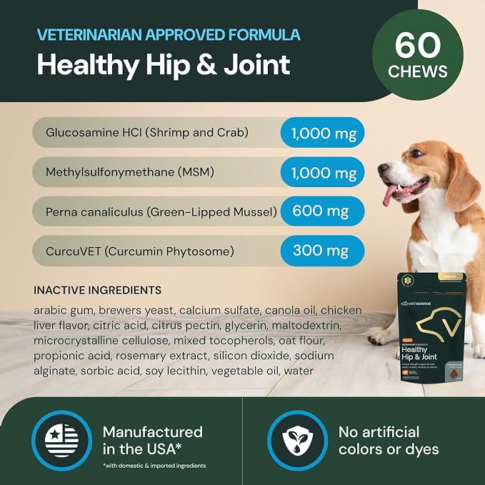 VETRISCIENCE Veterinary Strength Healthy Hip & Joint Chews - Joint Health Supplement for Dogs Over 60 Pounds - Supports Mobility & Flexibility in Large Dogs - 60 Count