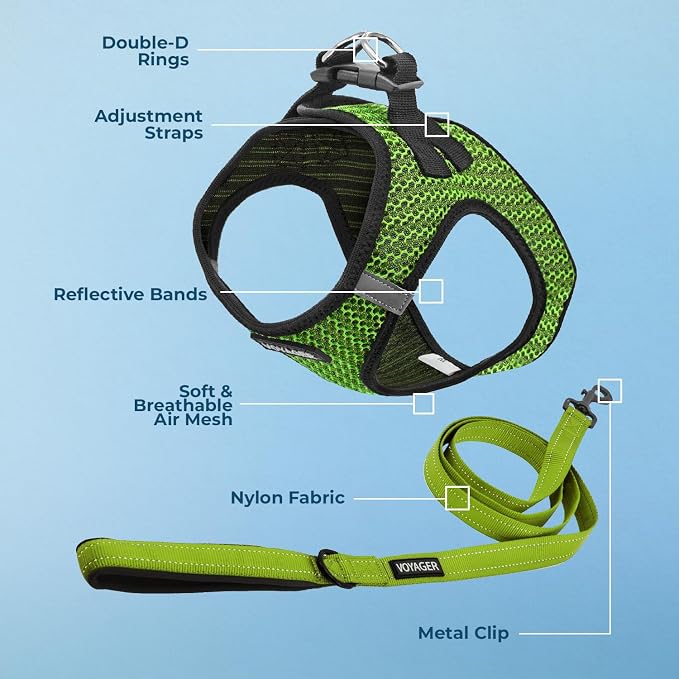 Best Pet Supplies Voyager Step-in Air All Weather Mesh Harness and Reflective Dog 5 ft Leash Combo with Neoprene Handle, for Small, Medium and Large Breed Puppies - Lime Green (2-Tone), M