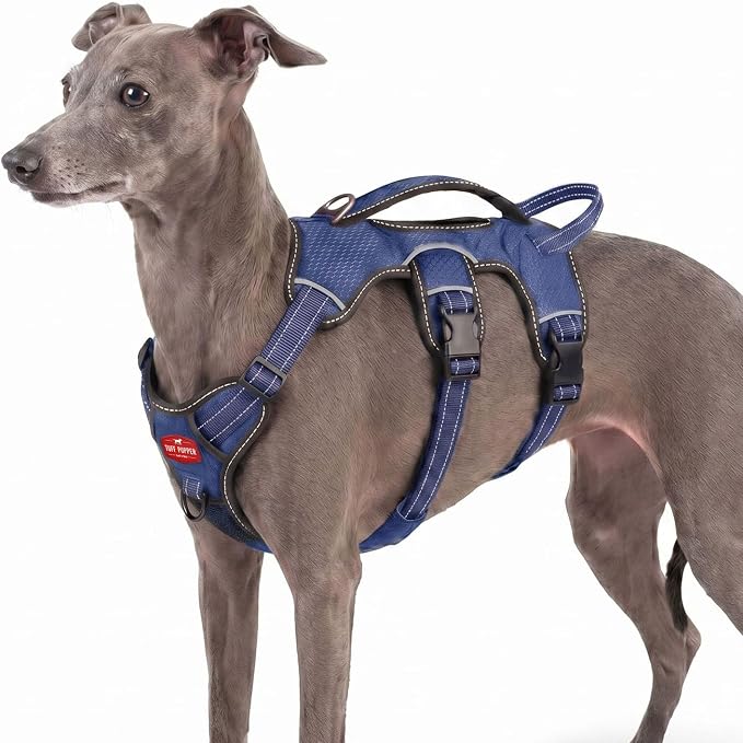 Tuff Pupper Escape Proof No Escape Dog Harness | 5 Point Adjustable Fit Harness for Dogs | Padded Dog Harnesses | Handle Dog Lift Harnesses