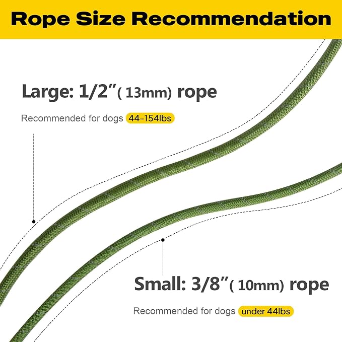 Fida Durable Slip Lead Dog Leash, 6 FT x 3/8" Heavy Duty Comfortable Strong Rope Slip Lead for Small Dogs and Puppies, No Pull Pet Training Leash with Highly Reflective(3/8", Green)