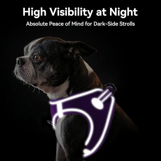 Joytale Step-in Dog Harness, Soft Breathable Mesh, Purple M | Adjustable Fit for Small Dogs, Easy Step-in with Secure Fastener, Even Chest Pressure, Reflective For Night Safety, Washable