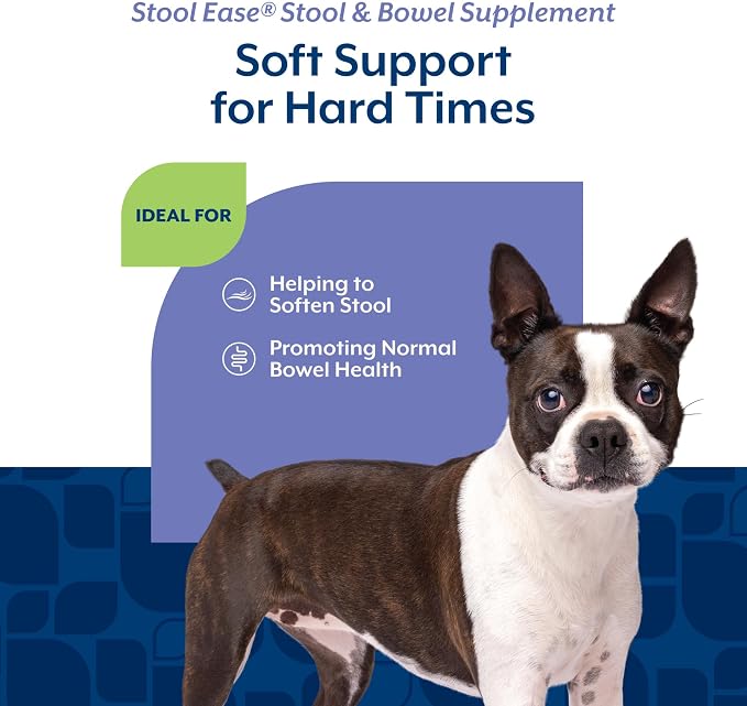 NaturVet – Stool Ease for Dogs – 40 Soft Chews – Helps Maintain Regular Bowel Movements – Enhanced with Sugar Beet Pulp, Flaxseed & Psyllium Husk – 40 Day Supply (Pack of 3)