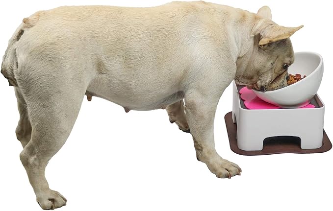 Raised Ceramic Dog Feeding Bowl,Adjustable Elevated Dog Bowls Set Anti-Slip,Standing Pet Feeding Dish for Small Medium Dogs and Cats,White