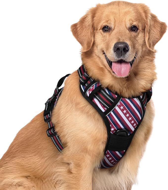 rabbitgoo Dog Harness, No Pull for Large Dogs with 2 Leash Clips, Pet Vest | No Choke with Handle, Adjustable Soft Padded, Reflective, Easy Control for Walking, Red Stripe, X-Large