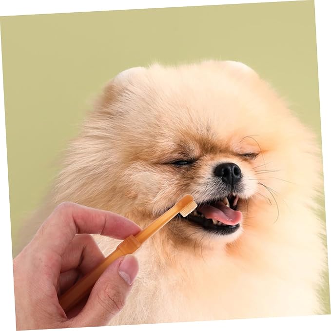 Healifty Silicone Cat and Small Dog Toothbrush Kit with Dual Head Design Portable Pet Dental Brush for Plaque Removal and Oral Health Care Suitable for Puppies and Cats