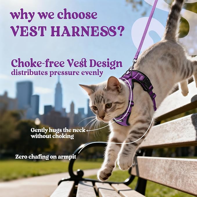 rabbitgoo Cat Harness and Leash Set, Escape Proof Vest, Purple | Soft Breathable Mesh, Easy Adjustable Fit, Snap Buckles, Sturdy Clip, Reflective Strips, for Medium to Large Cats Walks, M