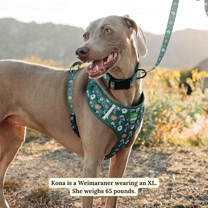 Lucy & Co. x Parks Project Power to the Parks No-Pull Dog Harness, Adjustable Front Clip Harness with Comfort Padding, X-Small