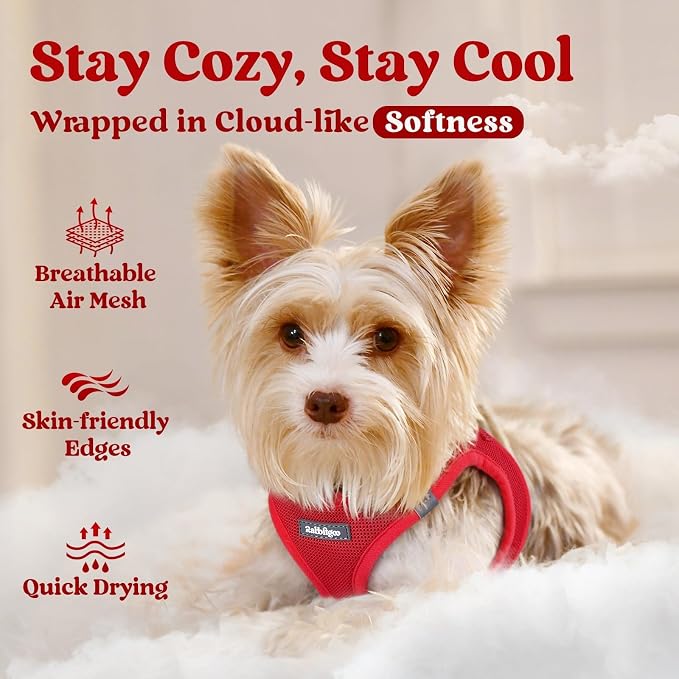 rabbitgoo Step-in Small Dog Harness, Puppy Vest for Small Medium Sized Pet | Easy Put on and off, Lightweight, Soft, Breathable Quick-Dry Air Mesh for Comfortable Secure Walking, Red L