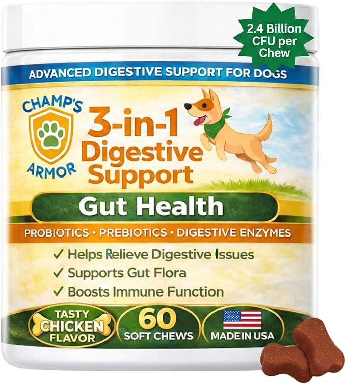 Probiotics for Dogs with Digestive Enzymes - 2.4 Billion CFU Dog Probiotic Supplements for Upset Stomach, Digestive Health, Diarrhea Relief - 60 Chicken Flavor Chews