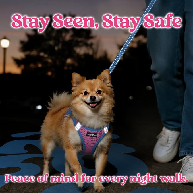 rabbitgoo Dog Harness Small Sized and Leash Set, Step in Soft Vest | Breathable Mesh, Easy Wear with Hook & Loop, Light and Reflective for Walking, Multi-colored, Pink & Blue, XS