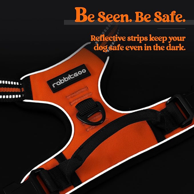 rabbitgoo Dog Harness, No Pull Medium Sized with 2 Leash Clips, Pet Vest | No Choke with Handle, Adjustable Soft Padded, Reflective, Easy Control for Walking, Orange, Medium